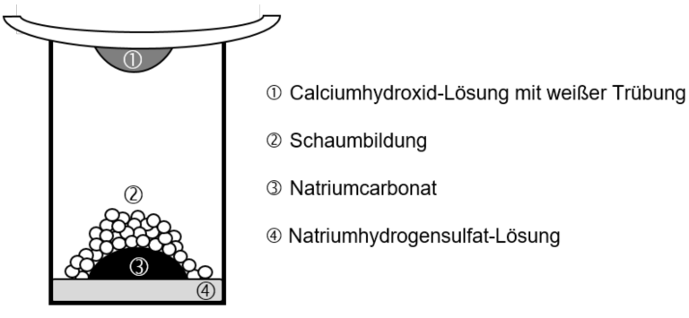 Skizze eines Reagenzglases mit Schaum und Beschriftungen: Calciumhydroxid-Lösung, Schaumbildung, Natriumcarbonat, Natriumhydrogensulfat-Lösung